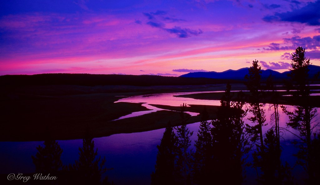Hayden Valley, Yellowstone National Park, Wyoming.
